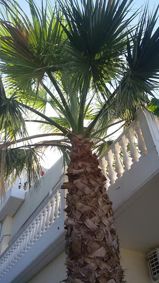 Ionion Star Hotel Tholon Exterior photo